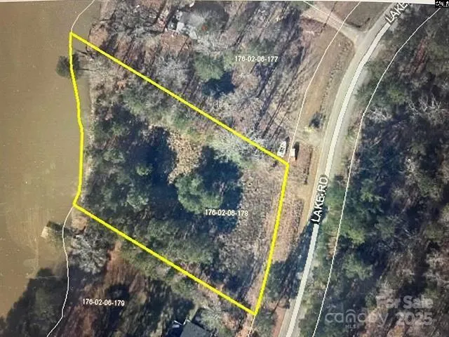 a picture of trees with lots of trees