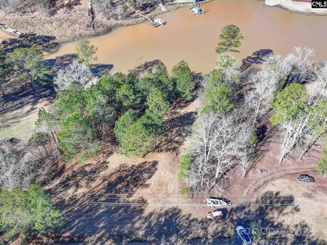 2984 Lake Road Ridgeway, SC 29130 - Photo 2 of 8 a picture of trees with lots of trees