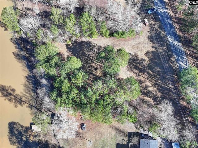 2984 Lake Road Ridgeway, SC 29130 - Photo 4 of 8 a view of a yard with plants and a tree