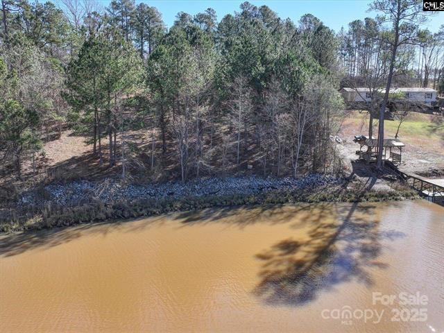 2984 Lake Road Ridgeway, SC 29130 - Photo 5 of 8 a view of a yard with a tree