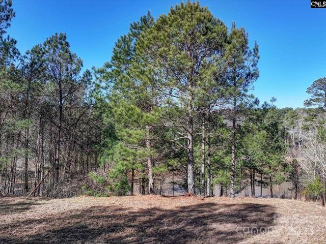 2984 Lake Road Ridgeway, SC 29130 - Photo 6 of 8 a view of tree trees in a yard