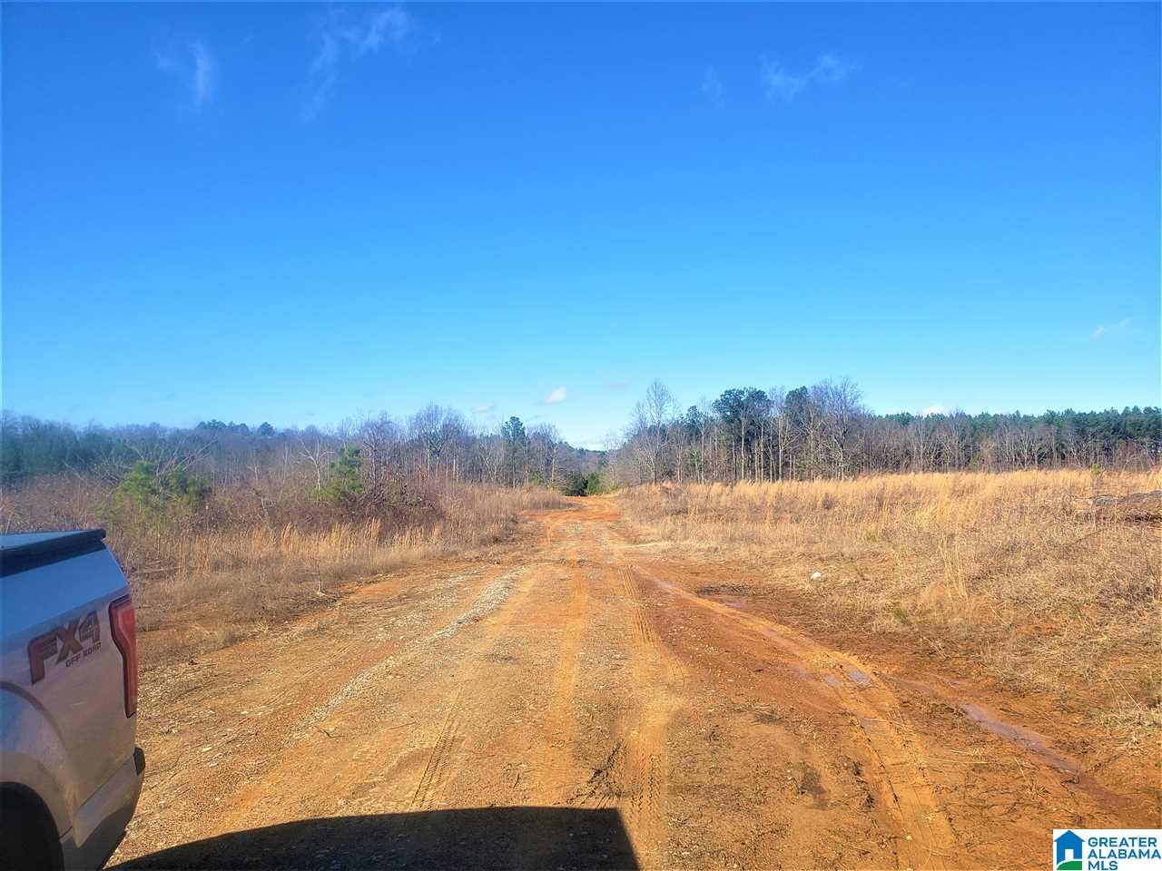 Redman Hall Road, Unit 2 Pinson, AL 35126 - Photo 5 of 12