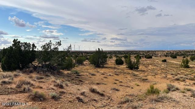 Lot 32 Snowflake Ranch Snowflake, AZ 85937 - Photo 5 of 5 a view of a dry yard with trees