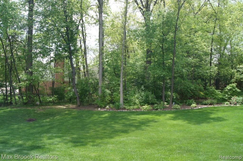 1189 Thames Drive Rochester, MI 48307 - Photo 22 of 22 Garden Natural Area for Privacy