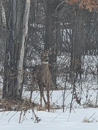 $269,000 | 48270 Southfork Road, Hinckley, MN 55037