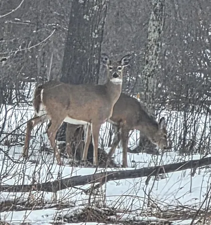 $269,000 | 48270 Southfork Road, Hinckley, MN 55037