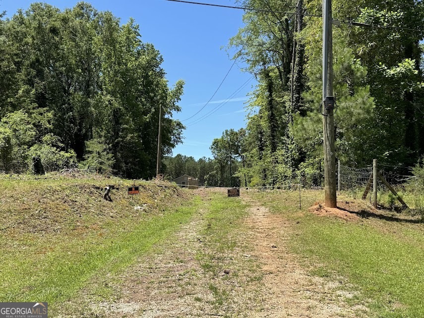 a view of a yard with a tree