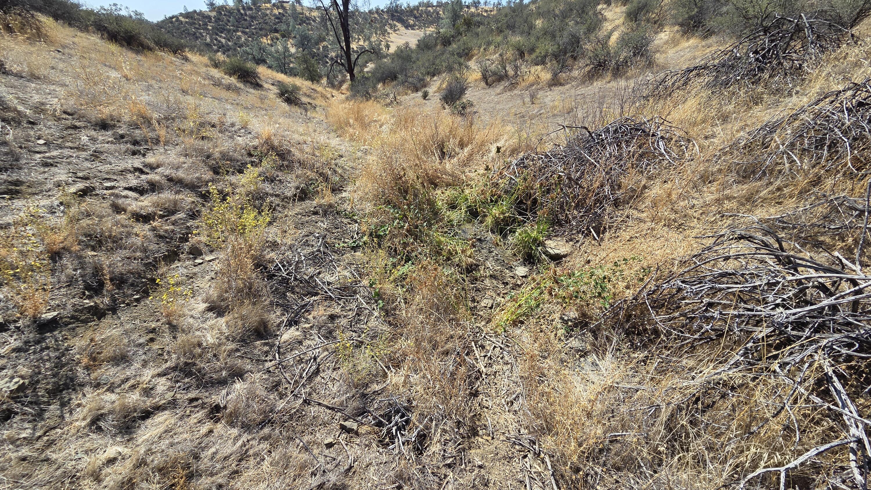 Lot 64 Gogo Road Igo, CA 96047 - Photo 29 of 36 20260916_110955