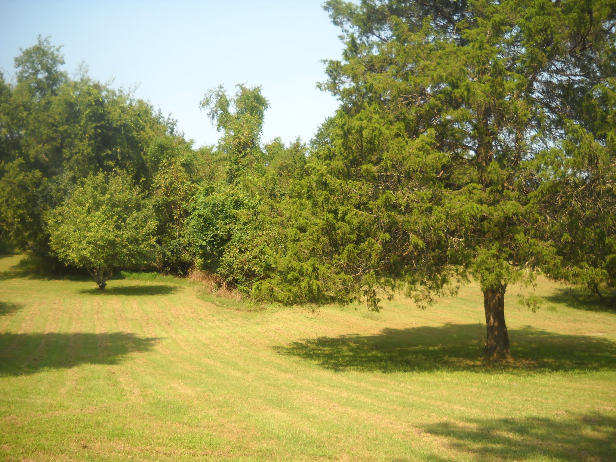 1193 Clemmons Road Mount Juliet, TN 37122 - Photo 3 of 7 Gallery Image 3