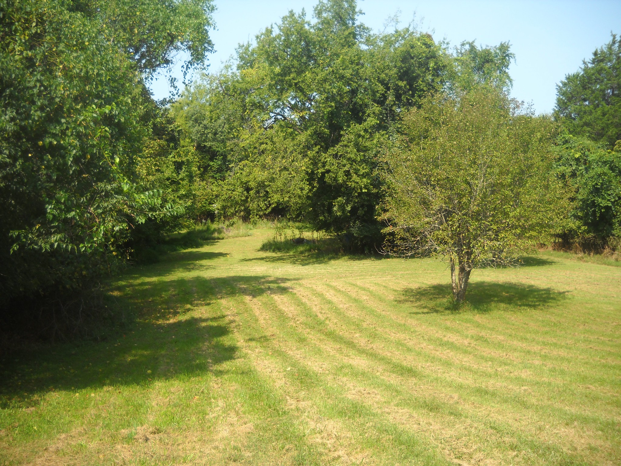 1193 Clemmons Road Mount Juliet, TN 37122 - Photo 5 of 7 Gallery Image 5