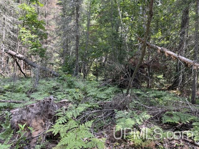 20-acres Willow Creek Road Negaunee, MI 49866 - Photo 4 of 17