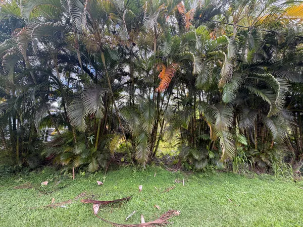 $22,500 | 801 Lalakea Street, Pahoa, HI 96778