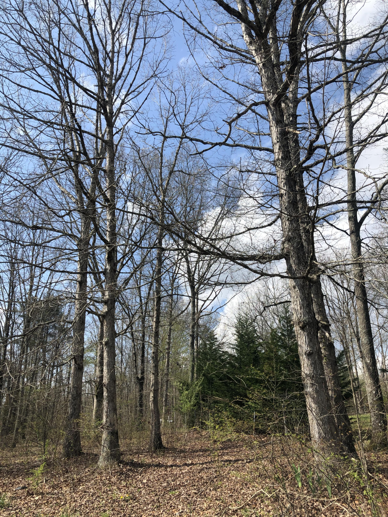 9752 Miller Country Road Soddy Daisy, TN 37379 - Photo 1 of 3 View of Property