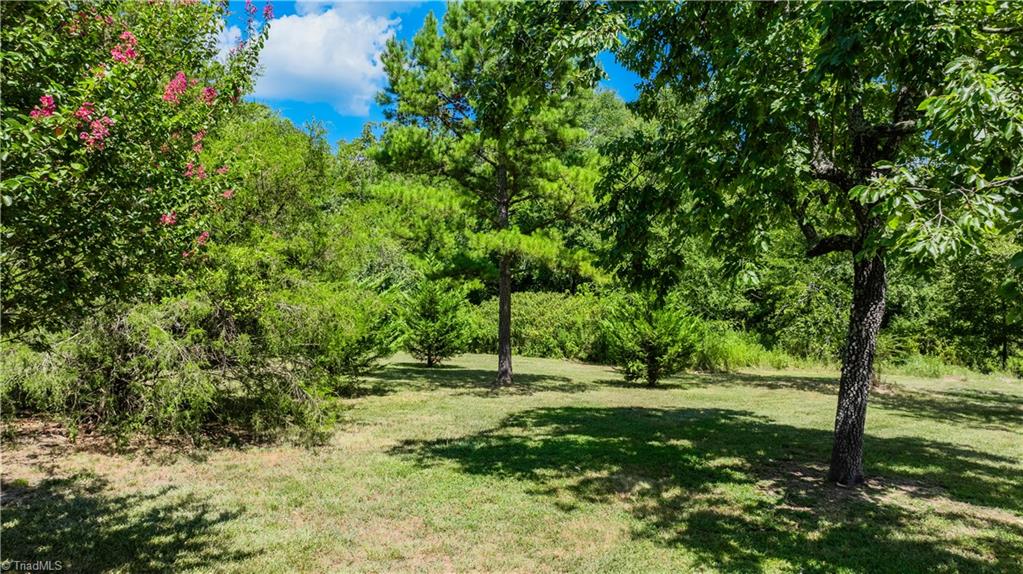 4651 Shiptontown Road Denton, NC 27239 - Photo 42 of 50 Gallery Image 42