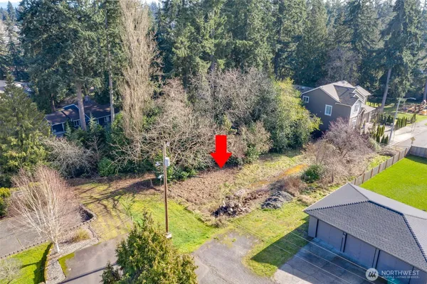 a view of a yard with plants