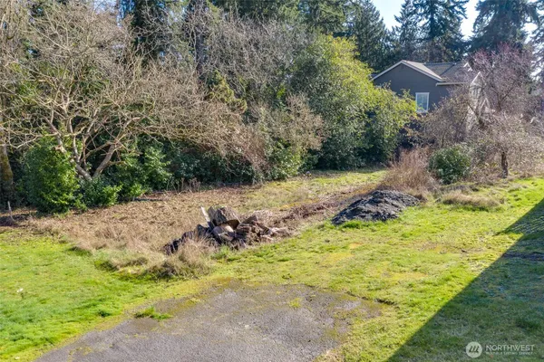 a view of a yard with large trees