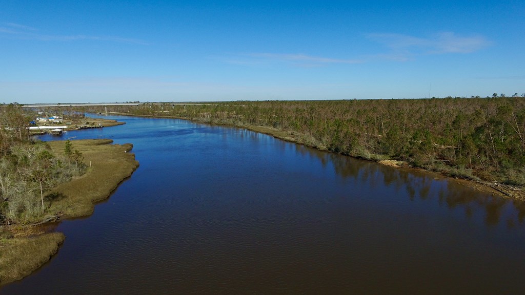 897 Borders Road Wewahitchka, FL 32465 - Photo 3 of 11