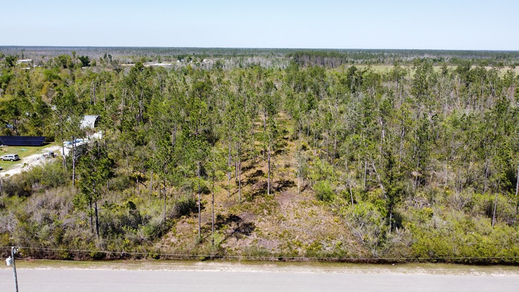 897 Borders Road Wewahitchka, FL 32465 - Photo 4 of 11