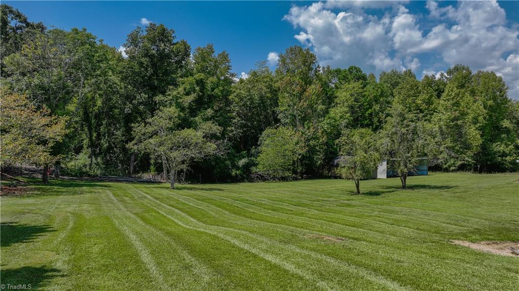 5565 Robbins Country Road Trinity, NC 27370 - Photo 12 of 45