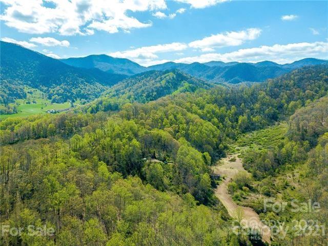 210 Brooks Branch Road Leicester, NC 28748 - Photo 3 of 30 Gallery Image 3