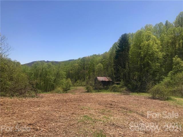 210 Brooks Branch Road Leicester, NC 28748 - Photo 6 of 30 Gallery Image 6