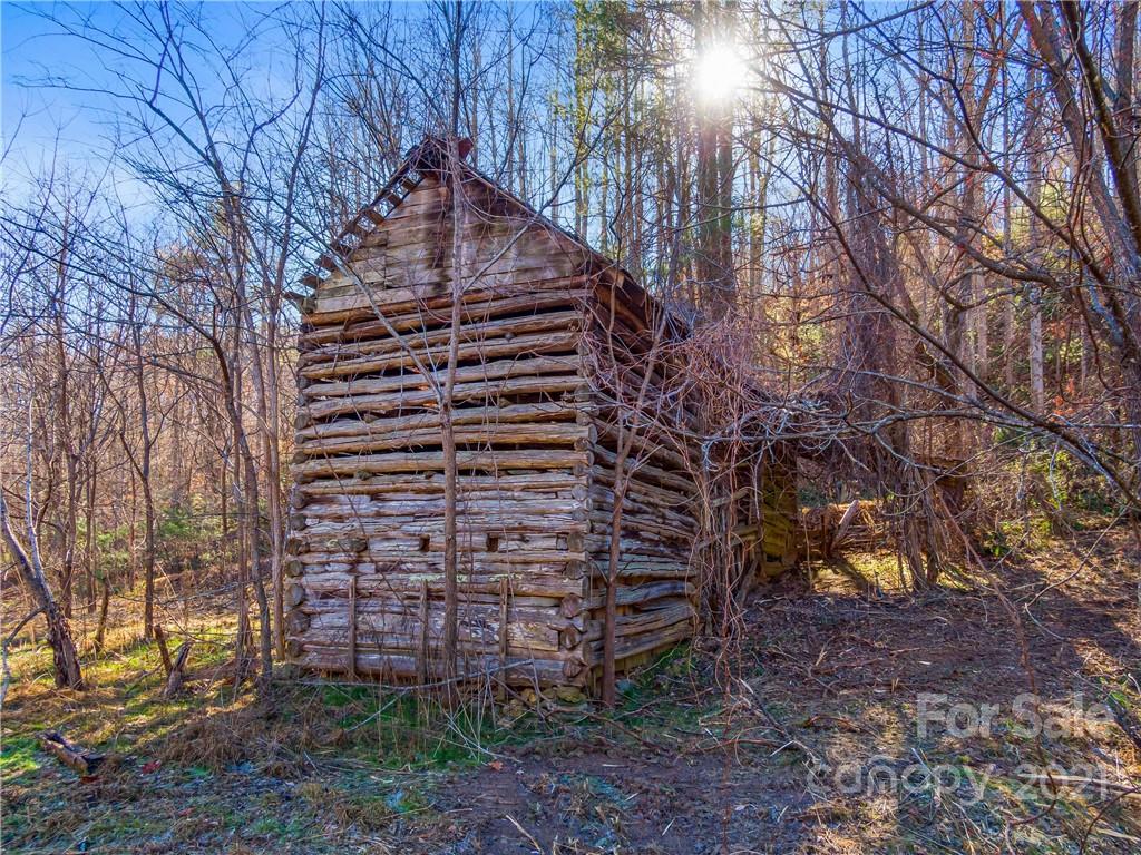 210 Brooks Branch Road Leicester, NC 28748 - Photo 7 of 30 Gallery Image 7