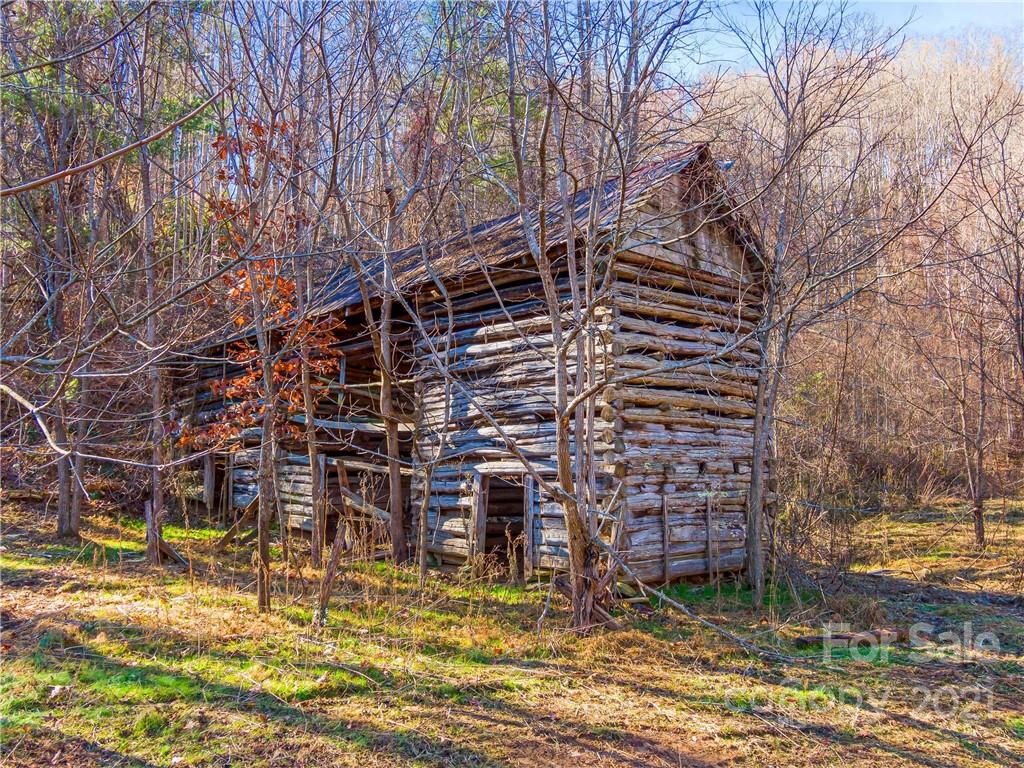 210 Brooks Branch Road Leicester, NC 28748 - Photo 8 of 30 Gallery Image 8