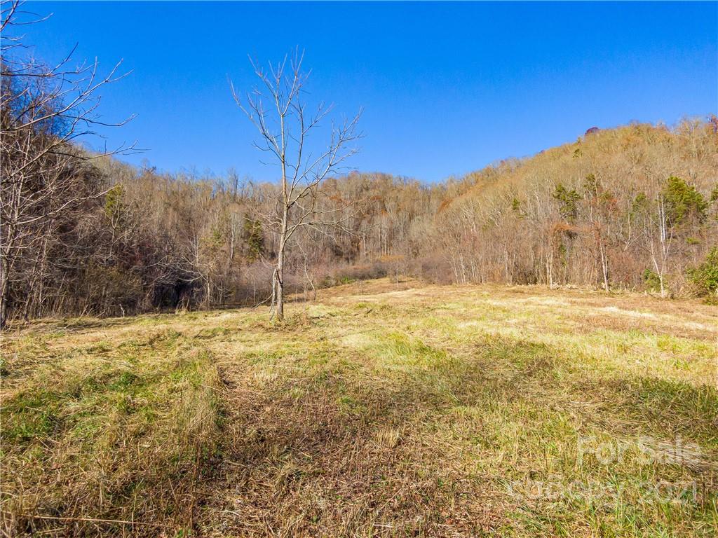210 Brooks Branch Road Leicester, NC 28748 - Photo 9 of 30 Gallery Image 9