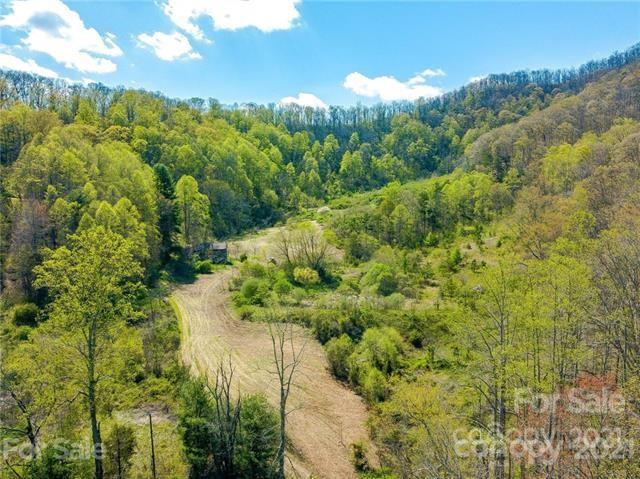 210 Brooks Branch Road Leicester, NC 28748 - Photo 10 of 30 Gallery Image 10