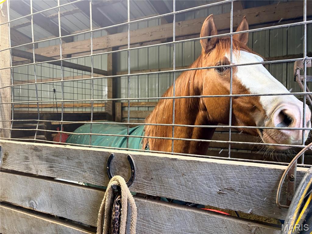 4958 Kiel-Lyon Road New Haven, MO 63068 - Photo 48 of 63