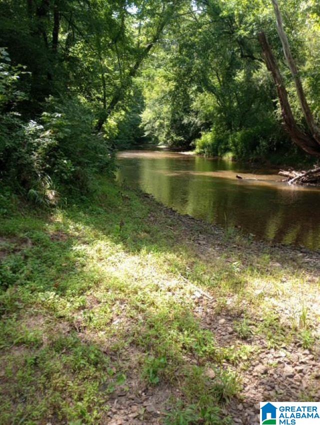 5100 Washington Valley Road, Unit PARCEL #1 Springville, AL 35146 - Photo 11 of 20
