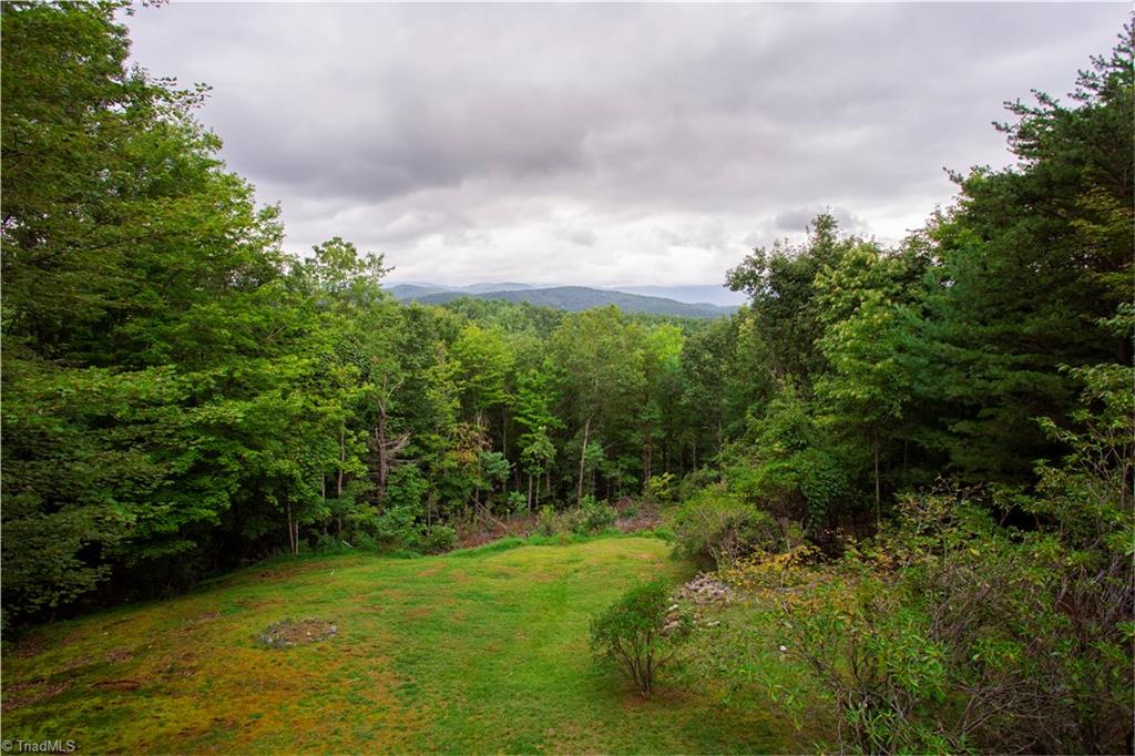 331 Doe Run Purlear, NC 28665 - Photo 18 of 22