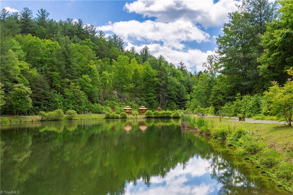 331 Doe Run Purlear, NC 28665 - Photo 22 of 22 Community Pond