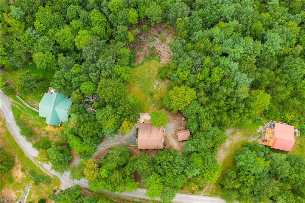 331 Doe Run Purlear, NC 28665 - Photo 4 of 22