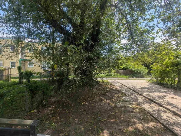 a view of a yard with a tree