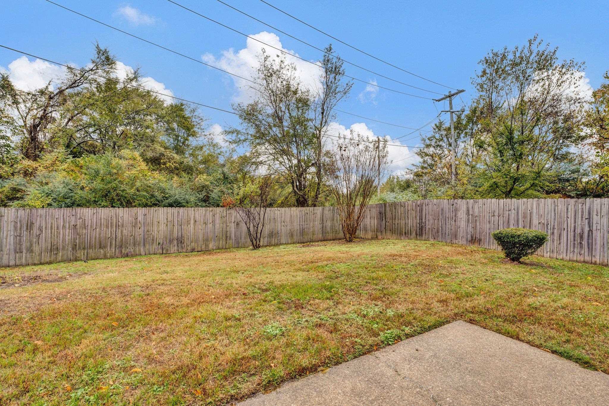 6309 Ragan Farm Drive Memphis, TN 38141 - Photo 20 of 25 View of yard