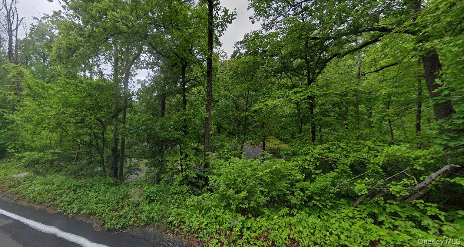 570 Gate Hill Coop Road Stony Point, NY 10980 - Photo 4 of 4