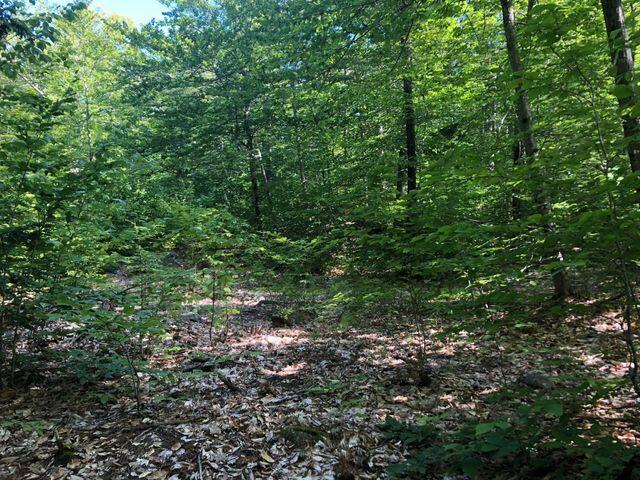 0 Fox Run Road Raymond, ME 04071 - Photo 1 of 2 0 Fox Run Pic 1