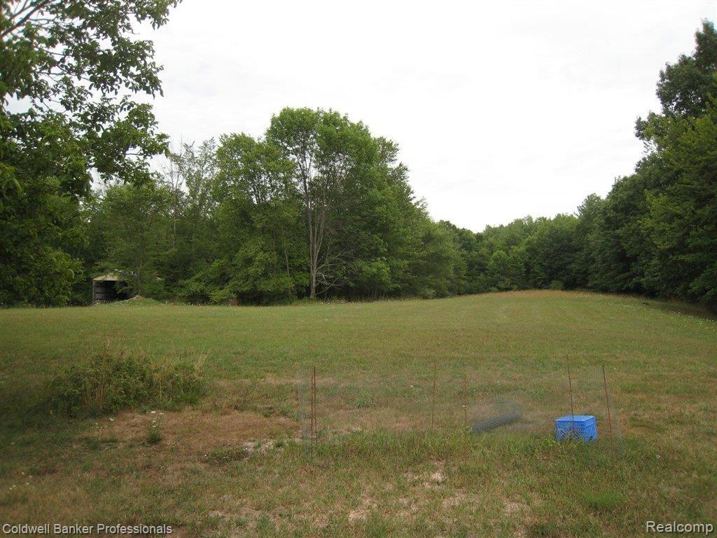 5897 Sinroll Road Ortonville, MI 48462 - Photo 4 of 21 Backyard.JPG