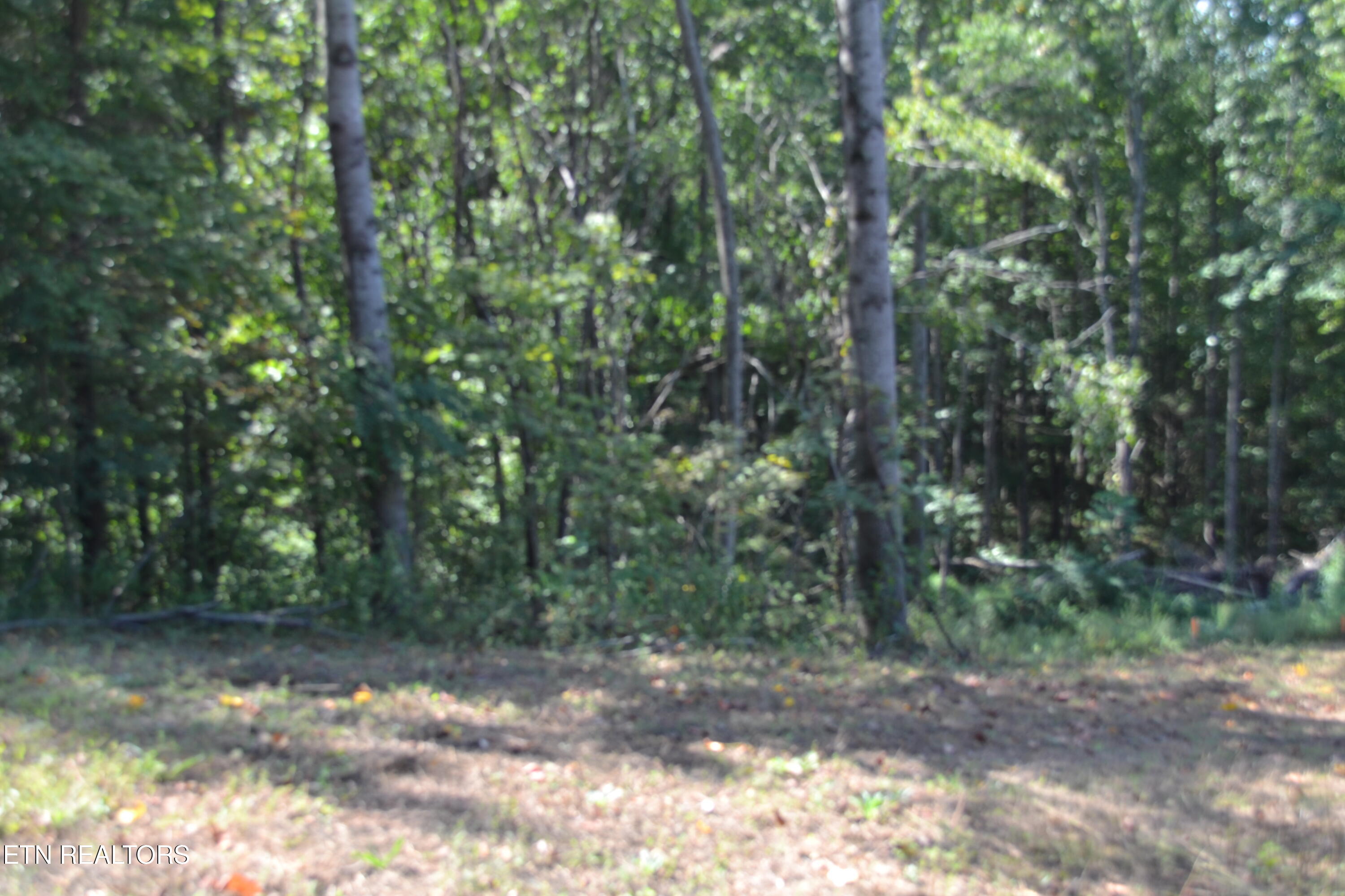 2376 Pea Ridge Fire Tower Road Celina, TN 38551 - Photo 8 of 23 DSC_0011