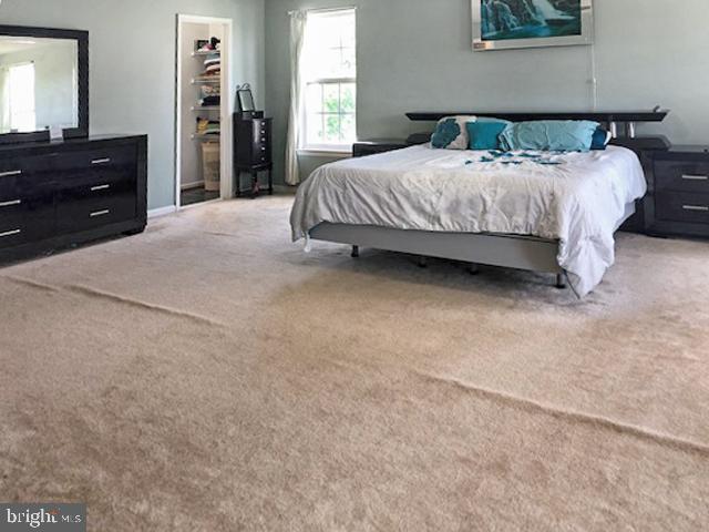 1205 Painted Fern Road Denton, MD 21629 - Photo 11 of 26 Gallery Image 11
