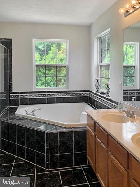 1205 Painted Fern Road Denton, MD 21629 - Photo 12 of 26 Jetted tub in master bath.