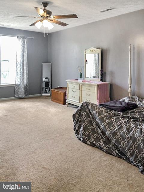 1205 Painted Fern Road Denton, MD 21629 - Photo 23 of 26 Gallery Image 23