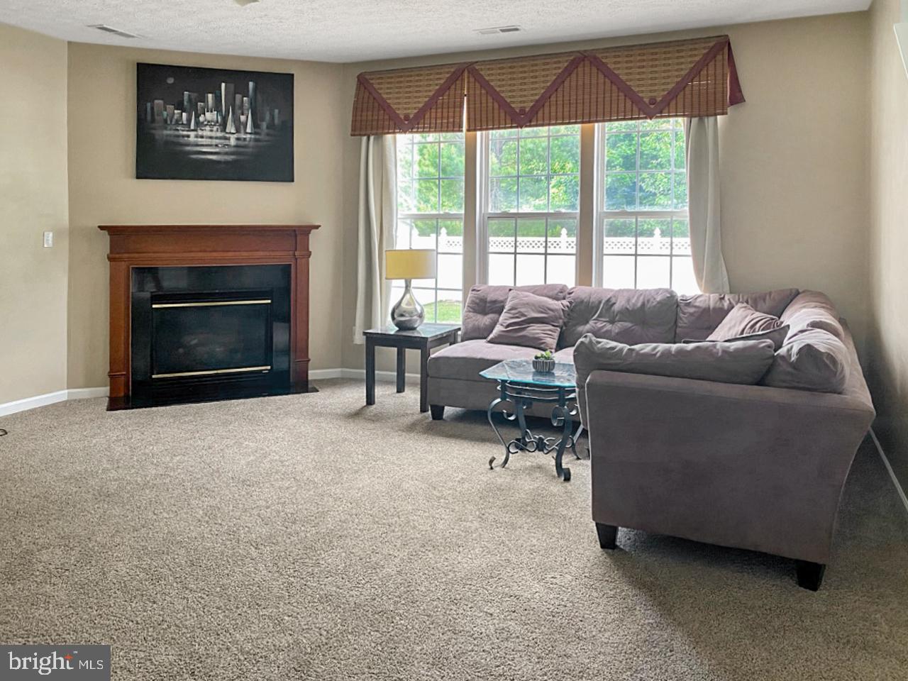 1205 Painted Fern Road Denton, MD 21629 - Photo 4 of 26 Great room with gas fireplace.