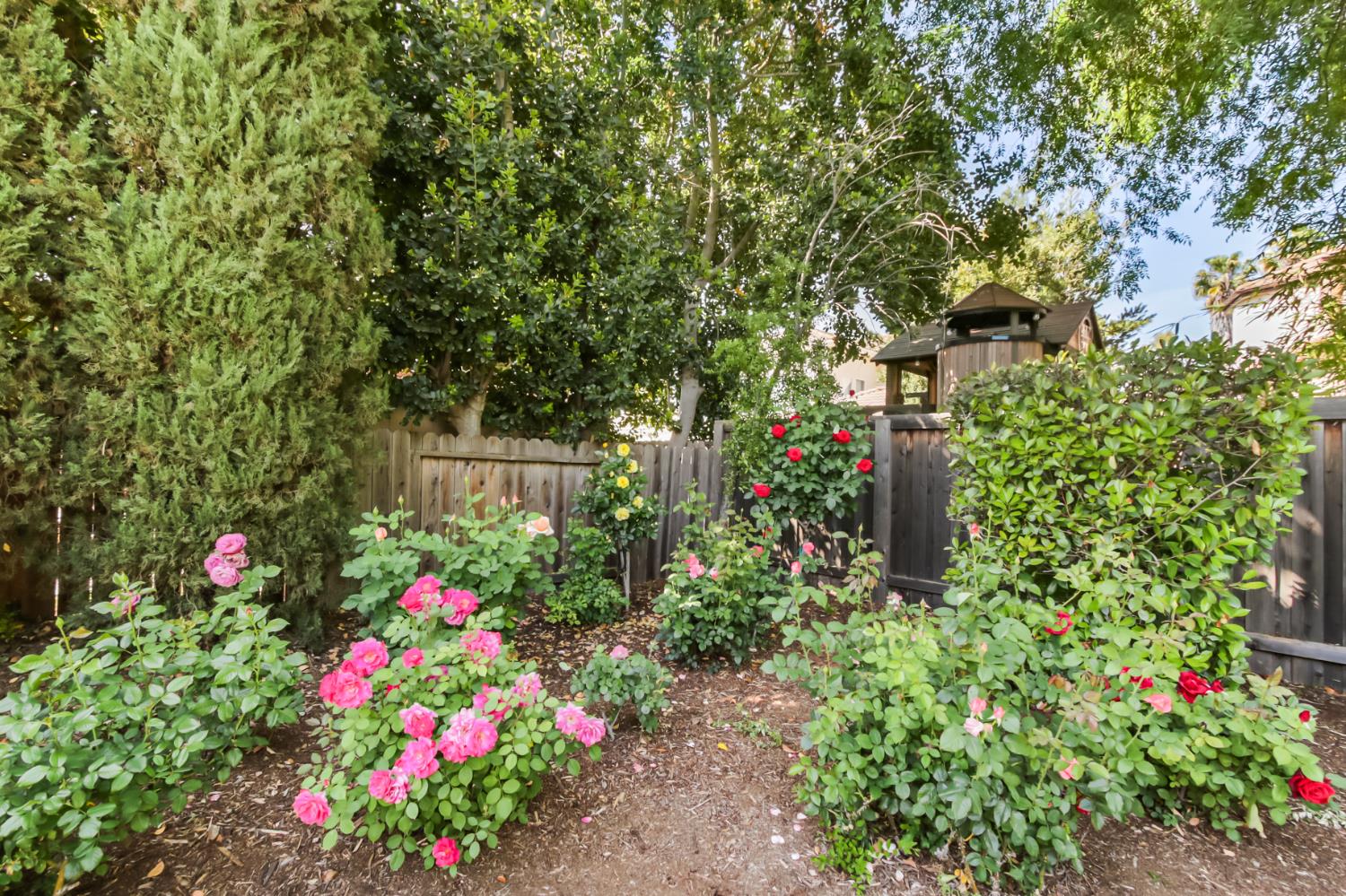 5415 Rogers Street Davis, CA 95618 - Photo 67 of 77