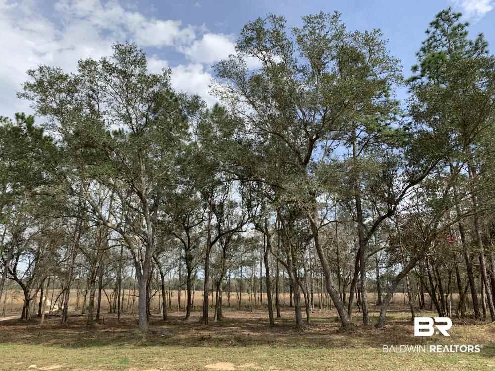 17525 Joe Gottler Road Elberta, AL 36530 - Photo 11 of 44
