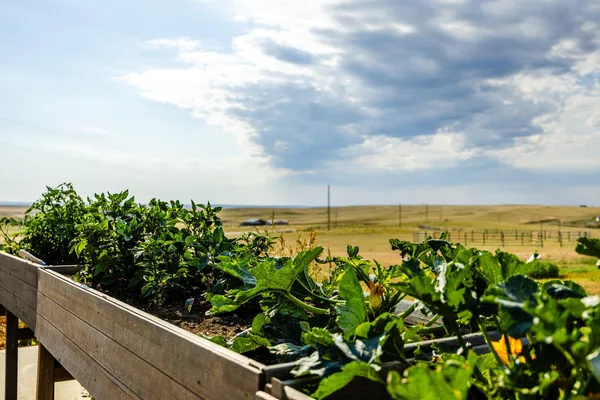 $659,900 | 555 Trabing Road, Buffalo, WY 82834