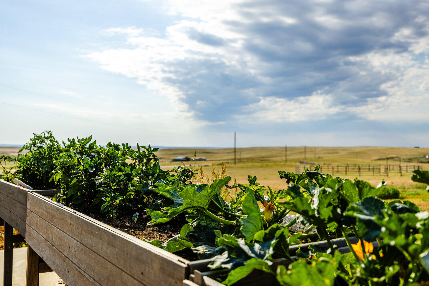 555 Trabing Road Buffalo, WY 82834 - Photo 34 of 63 034_3r0a0087_545