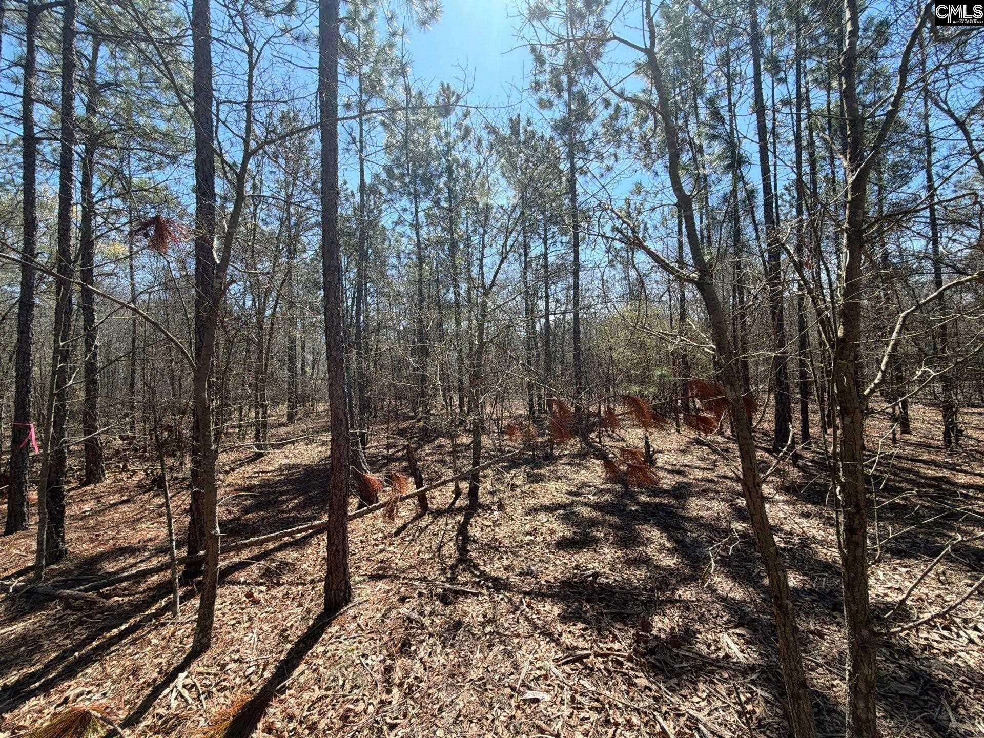 9 Boise Cascade Road, Unit BHL 9 Bethune, SC 29009 - Photo 29 of 44