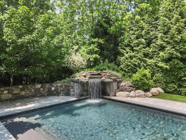 a view of a yard with plants and trees